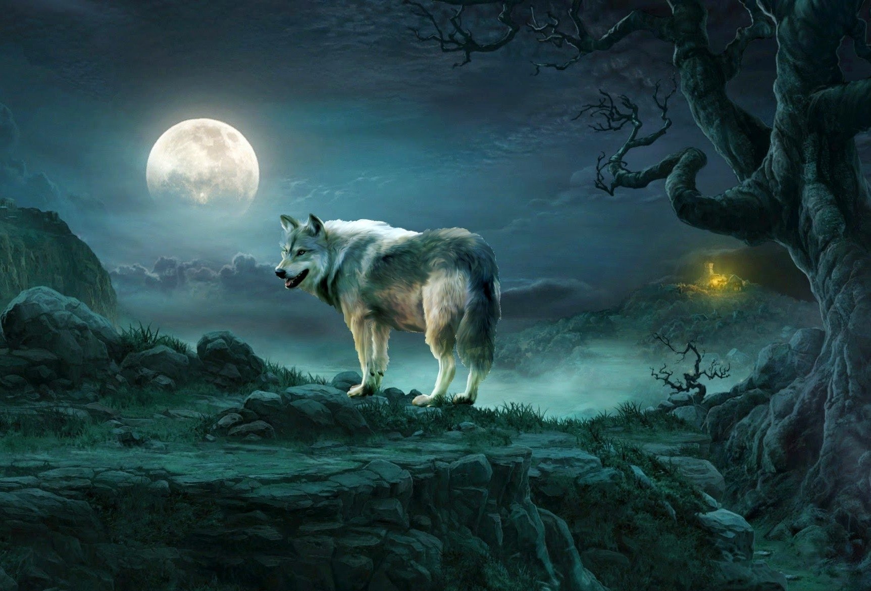 Wolf On Full Moon Night Wallpaper And Background Image 1725x1170 Id