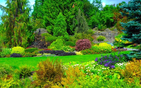 Hecho por el hombre Jardín Queen Elizabeth Garden Canadá Árbol Bush Shrub Verde Planta Fondo de pantalla HD | Fondo de Escritorio
