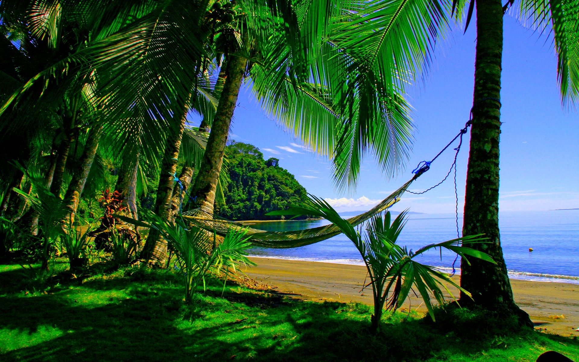 Tropical Beach HD Wallpaper | Background Image | 1920x1200 ...