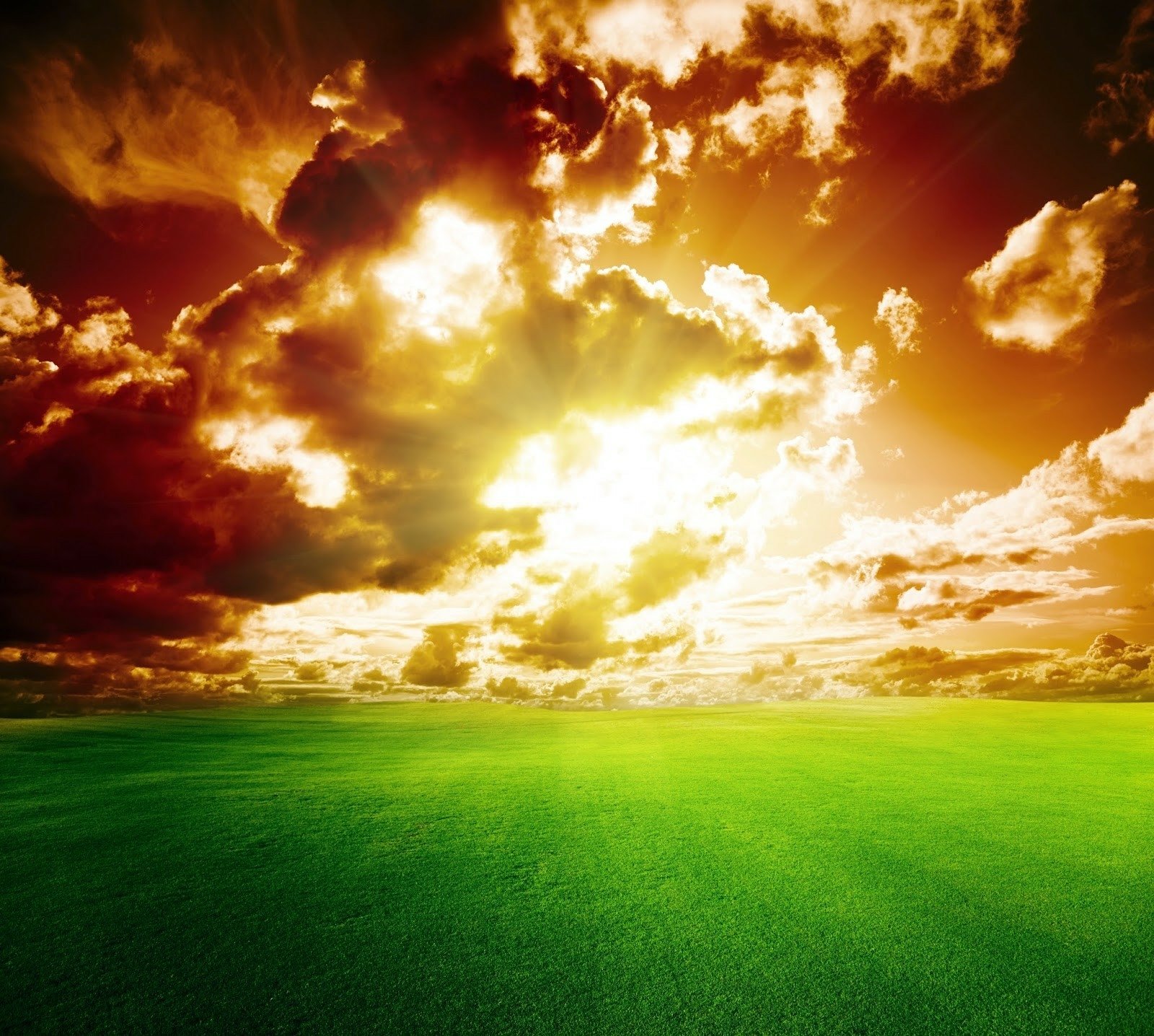 Amazing Sky over Field Wallpaper and Background Image | 1600x1436 | ID