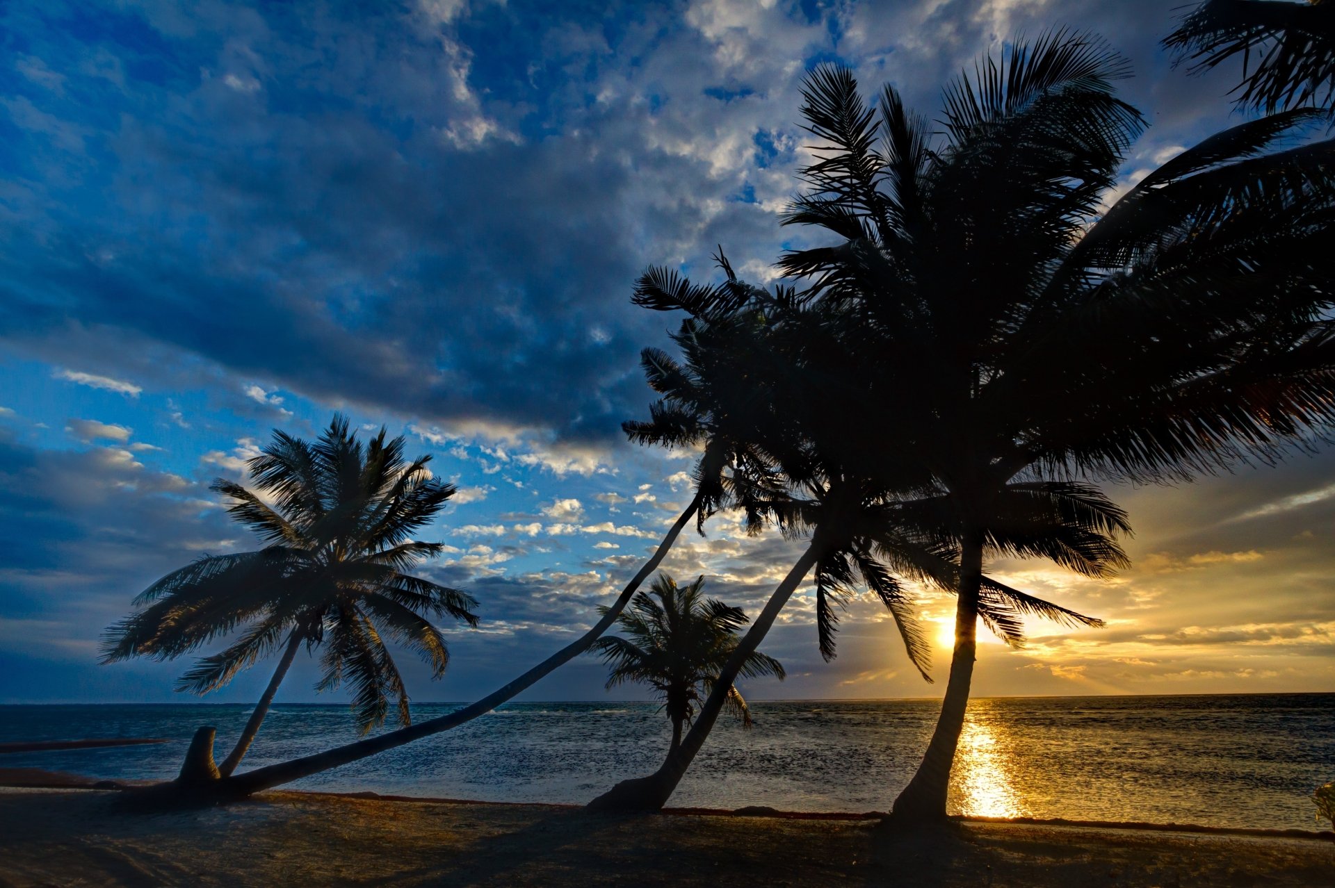 Download Cloud Sky Palm Tree Tropics Horizon Sunset Nature Ocean 4k ...