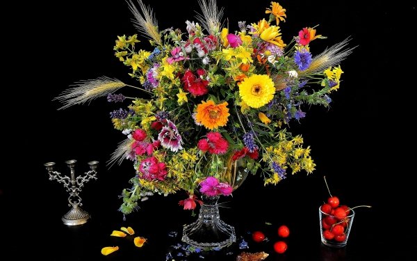 Photography Still Life Flower Colors Colorful Vase Cherry HD Wallpaper | Background Image
