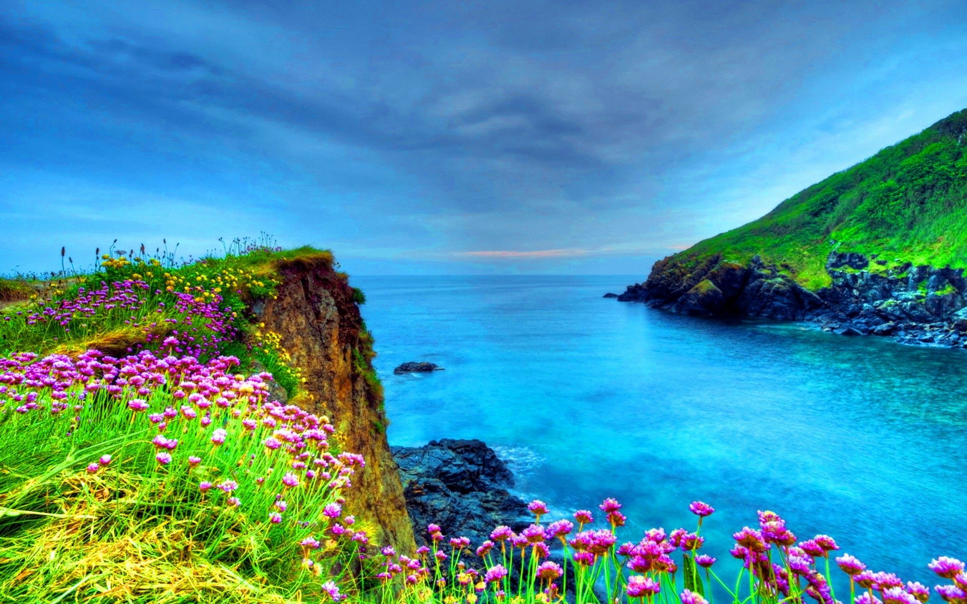 Flowers on the Coastline Fondo de pantalla HD Fondo de Escritorio