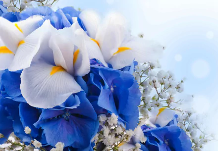 4K Ultra HD PC desktop wallpaper showing blue and white iris blooms with baby's breath against a soft sky-blue nature backdrop.
