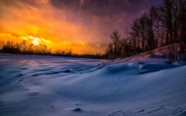 Nature Winter Snow Sunset Tree HD Wallpaper | Background Image