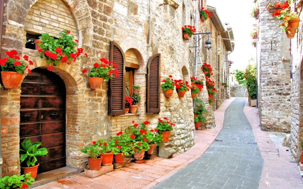 Man Made Street Italy House Flower Red Flower HD Wallpaper | Background Image