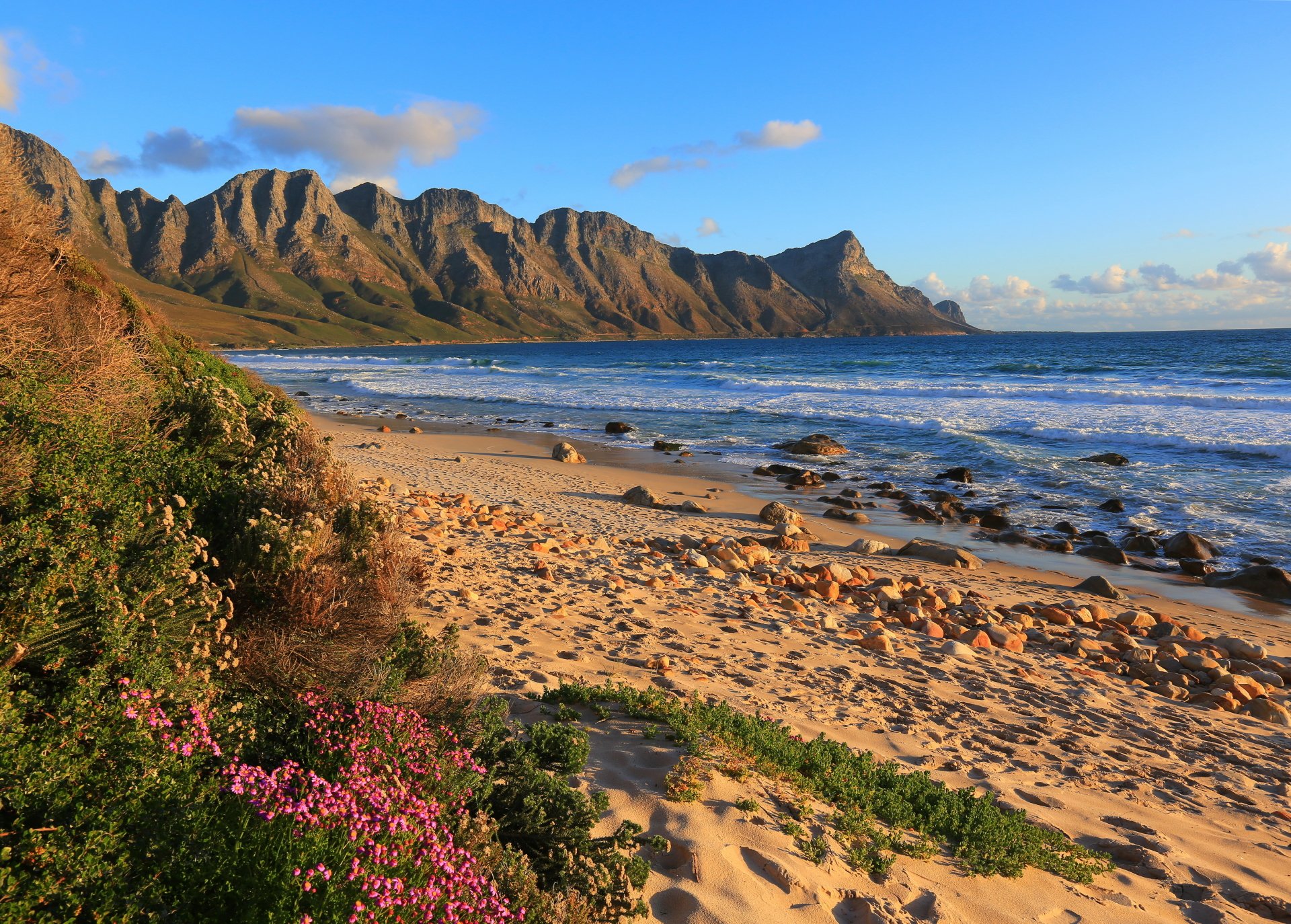 A 4K Ultra HD view of a rocky sand coast with waves and flowers along the beach under a blue sky in South Africa’s natural seaside landscape.
