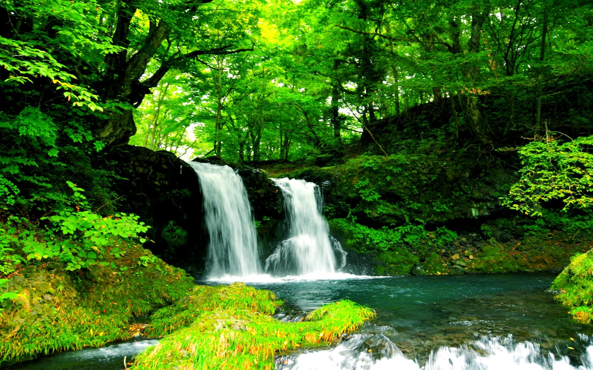 HD wallpaper featuring a serene nature scene with a lush forest, vibrant greenery, a tranquil pond, and a cascading waterfall.