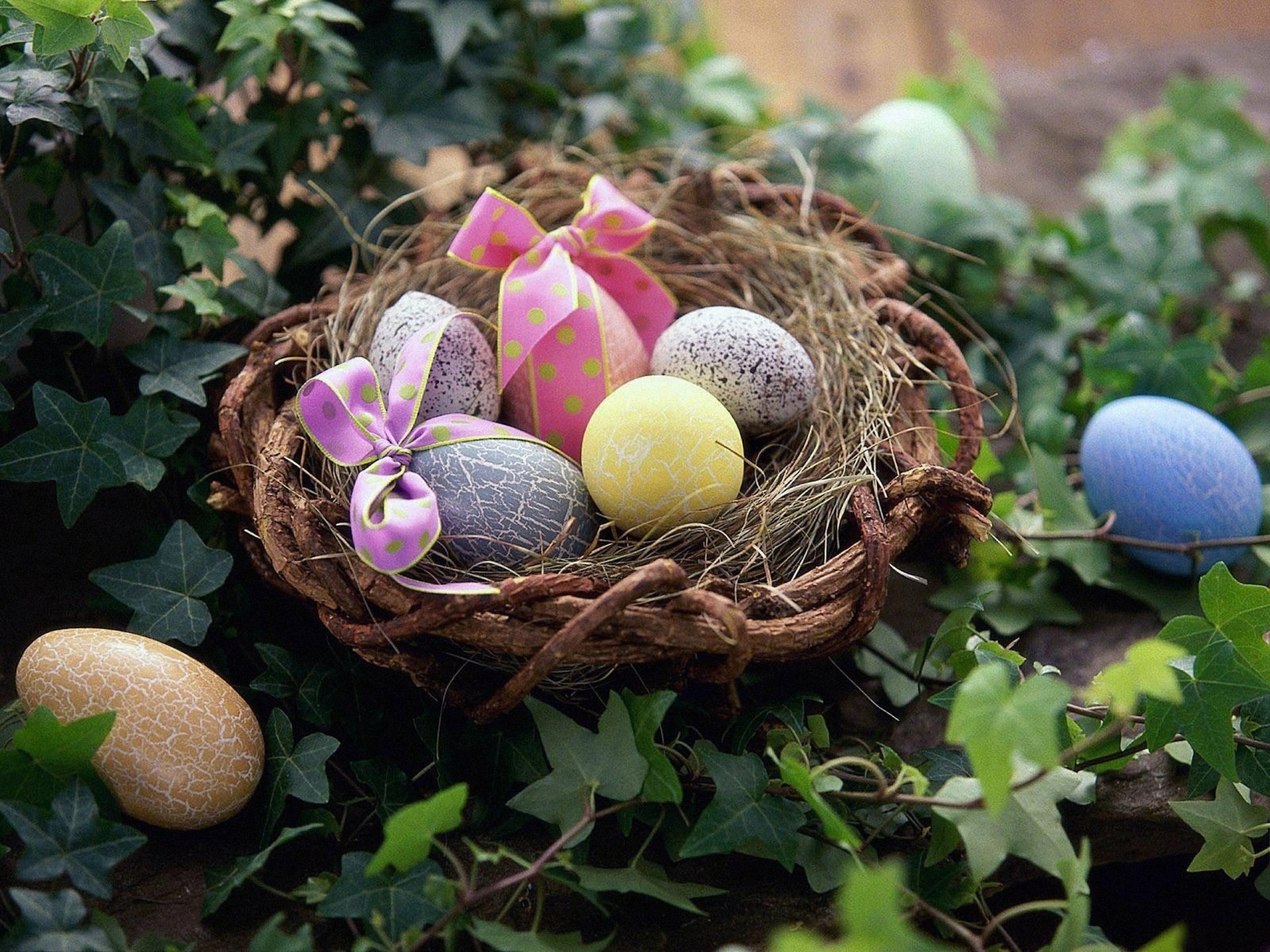 Easter eggs decorated with bows rest in a vine-woven basket nest surrounded by ivy, creating a festive holiday scene in HD desktop wallpaper quality.