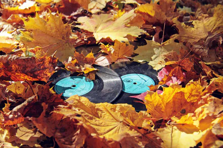 4K Ultra HD PC wallpaper: vinyl records half-buried among colorful autumn leaves, evoking fall music and nostalgic warmth.