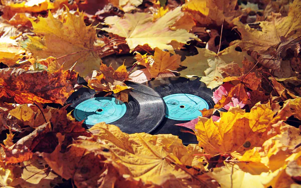 4K Ultra HD PC wallpaper: vinyl records half-buried among colorful autumn leaves, evoking fall music and nostalgic warmth.