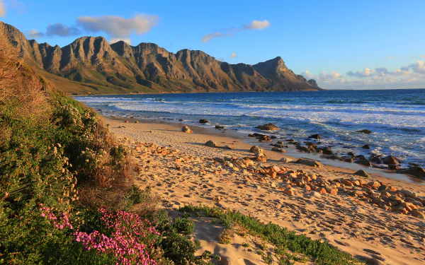 A 4K Ultra HD view of a rocky sand coast with waves and flowers along the beach under a blue sky in South Africa’s natural seaside landscape.