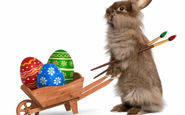 Día festivo Pascua Bunny Huevo Wheelbarrow Conejo Fondo de pantalla HD | Fondo de Escritorio