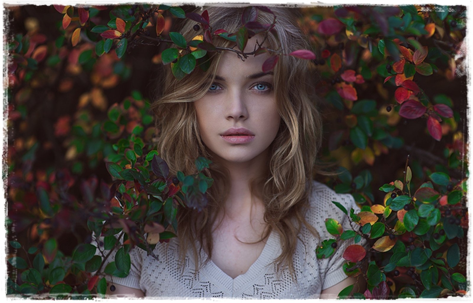 Blonde woman with blue eyes stands among vibrant fall leaves. The lush foliage and her serene expression create a captivating HD desktop wallpaper and background.