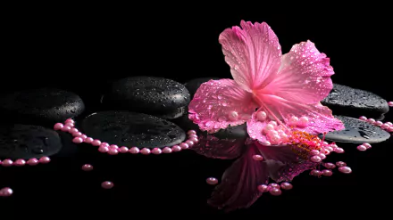 Close-up 4K Ultra HD photo of a pink hibiscus flower with water droplets, reflected on black stones, accompanied by a string of pearls, creating a still life composition.
