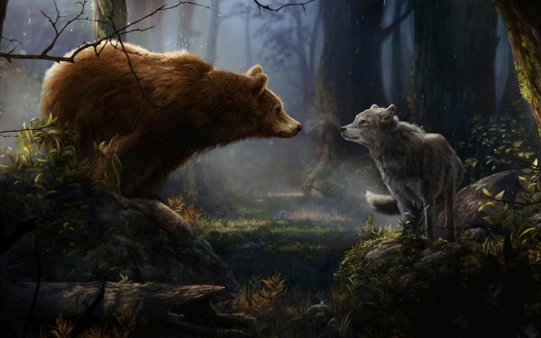 Animal Bear Bears Wolf Forest HD Wallpaper | Background Image