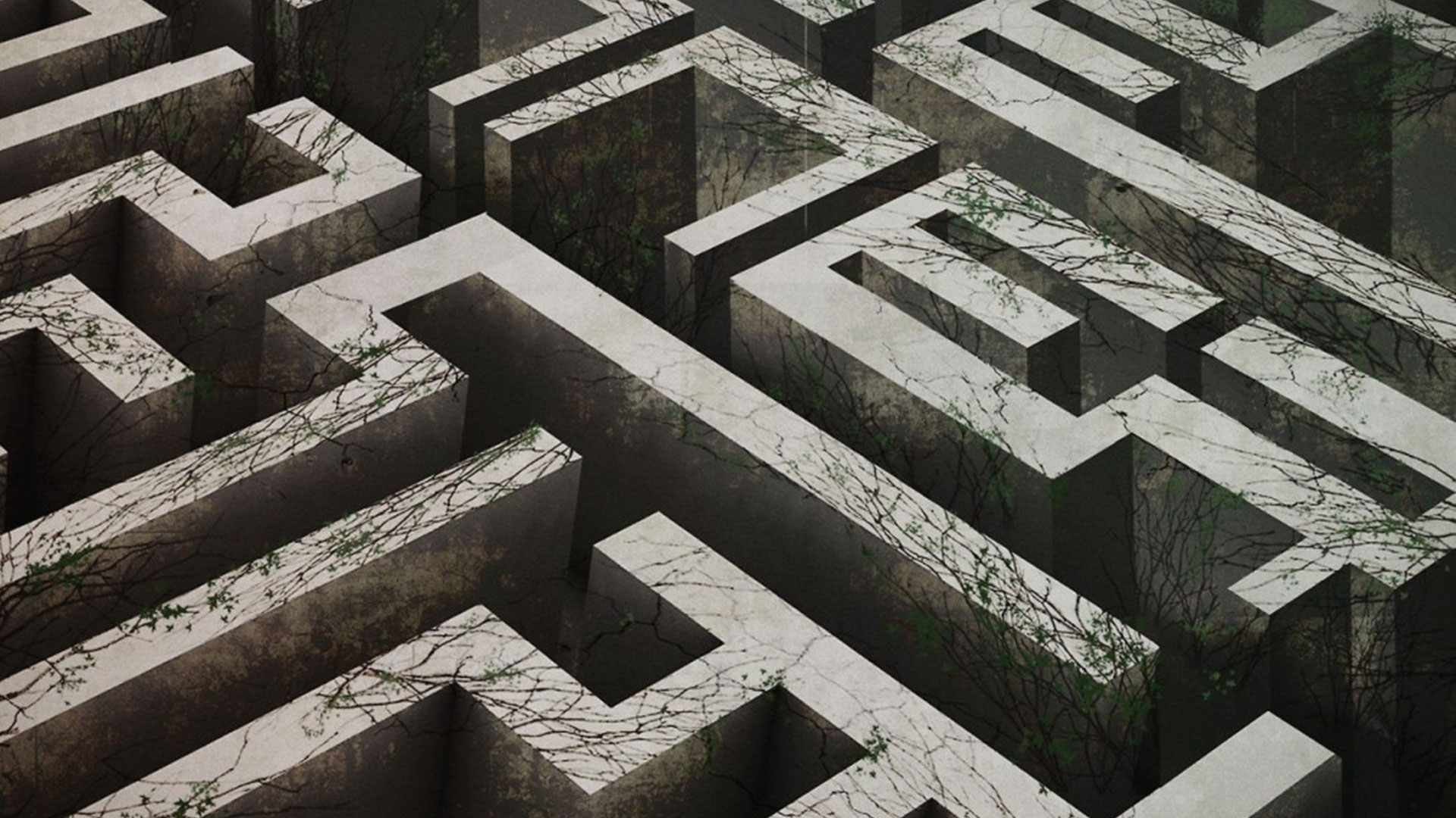 Movie The Maze Runner HD Wallpaper | Background Image