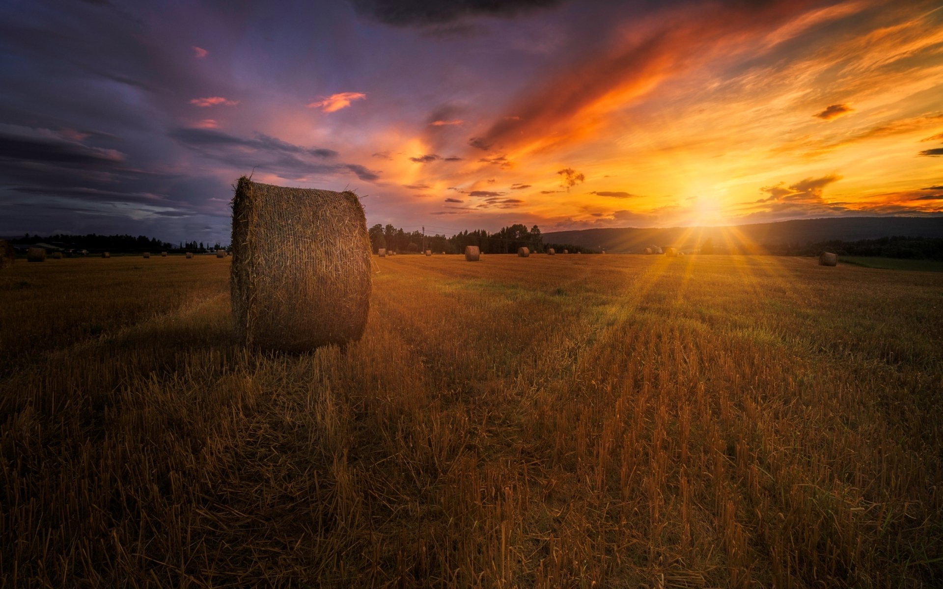 Download Haystack Nature Landscape Summer Field Sunset Summer Sunset HD Wallpaper