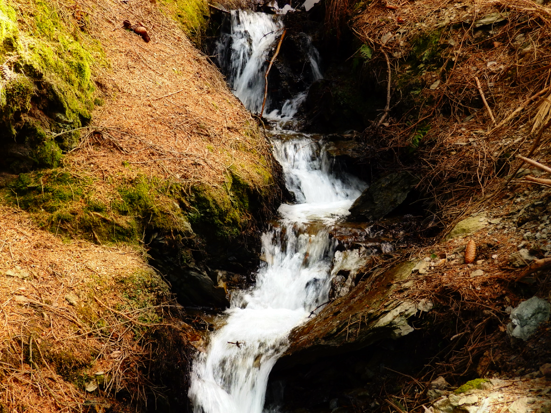 HD PC desktop wallpaper of nature: a mossy forest creek with clear water cascading down a rocky stream, surrounded by brown leaf litter.