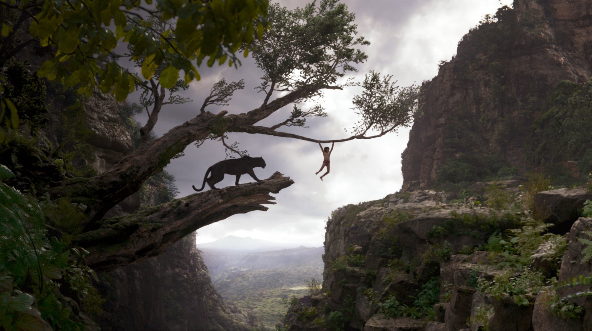 HD PC desktop wallpaper featuring a scene from the movie The Jungle Book (2016), showing a young boy swinging on a vine with a panther nearby in a lush jungle gorge.