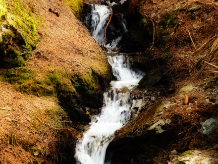HD PC desktop wallpaper of nature: a mossy forest creek with clear water cascading down a rocky stream, surrounded by brown leaf litter.