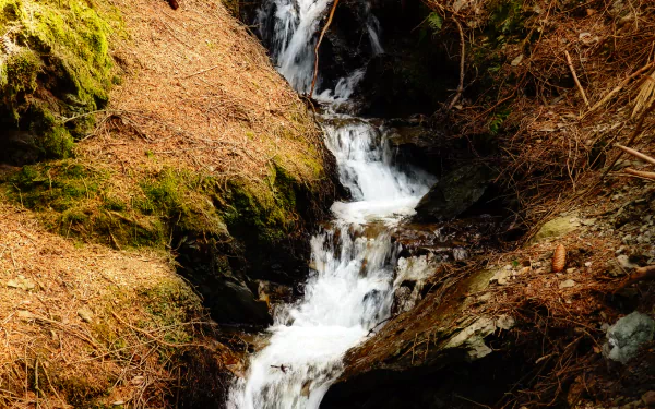  stream 2