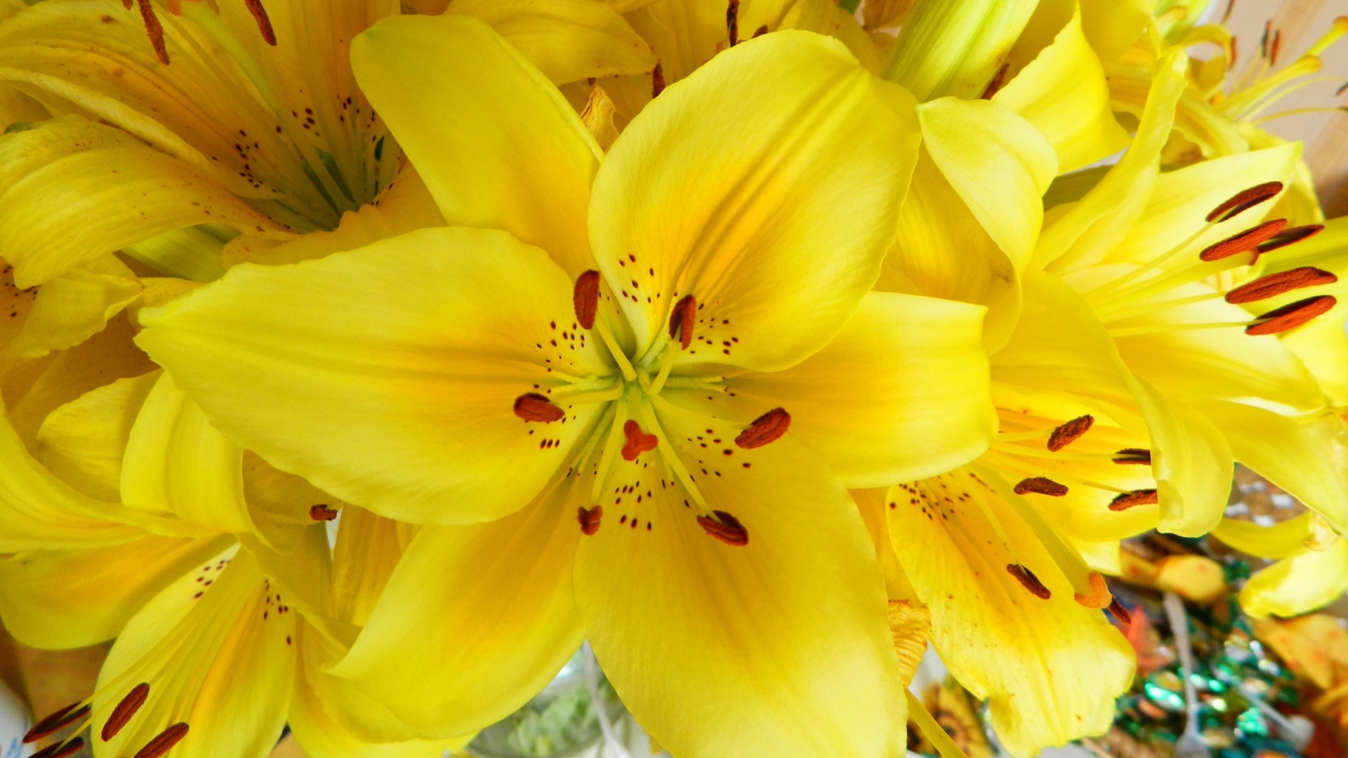 Yellow Lilies