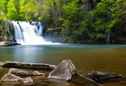 A vibrant 4K Ultra HD desktop wallpaper showcasing Abrams Falls cascading into a serene pool, surrounded by lush green forest in nature.