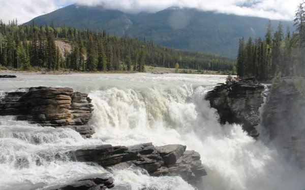 nature forest river Canada Jasper National Park waterfall athabasca falls HD Desktop Wallpaper | Background Image