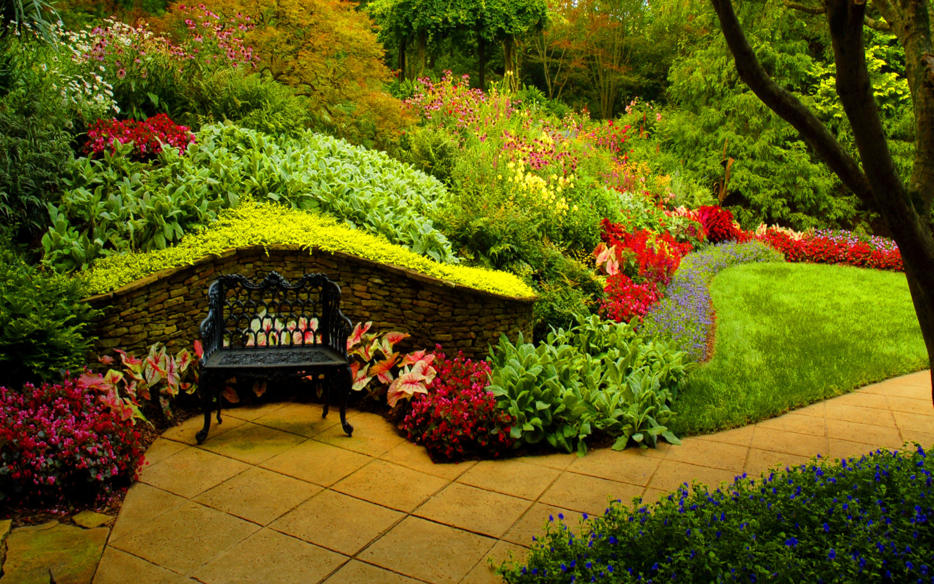 Bench in Spring Park Full HD Wallpaper and Background Image  1920x1200  ID:694824