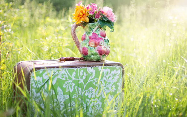  Pitcher of Spring Flowers on Suitcase