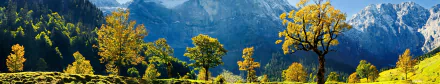 tree mountain green Austria europe photography panorama HD Desktop Wallpaper | Background Image
