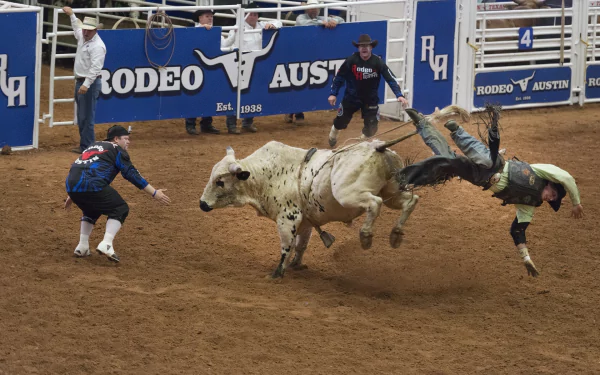 A dynamic rodeo scene featuring a cowboy being thrown off a bull as rodeo clowns rush in, captured in HD for a vibrant PC desktop wallpaper.