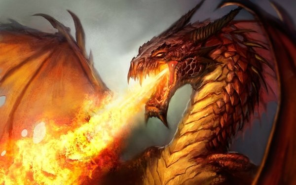 Fantasy Dragon orange Fire Wings HD Wallpaper | Background Image