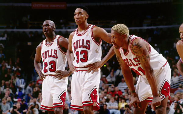 HD wallpaper featuring Chicago Bulls players in action, including Michael Jordan and Dennis Rodman.