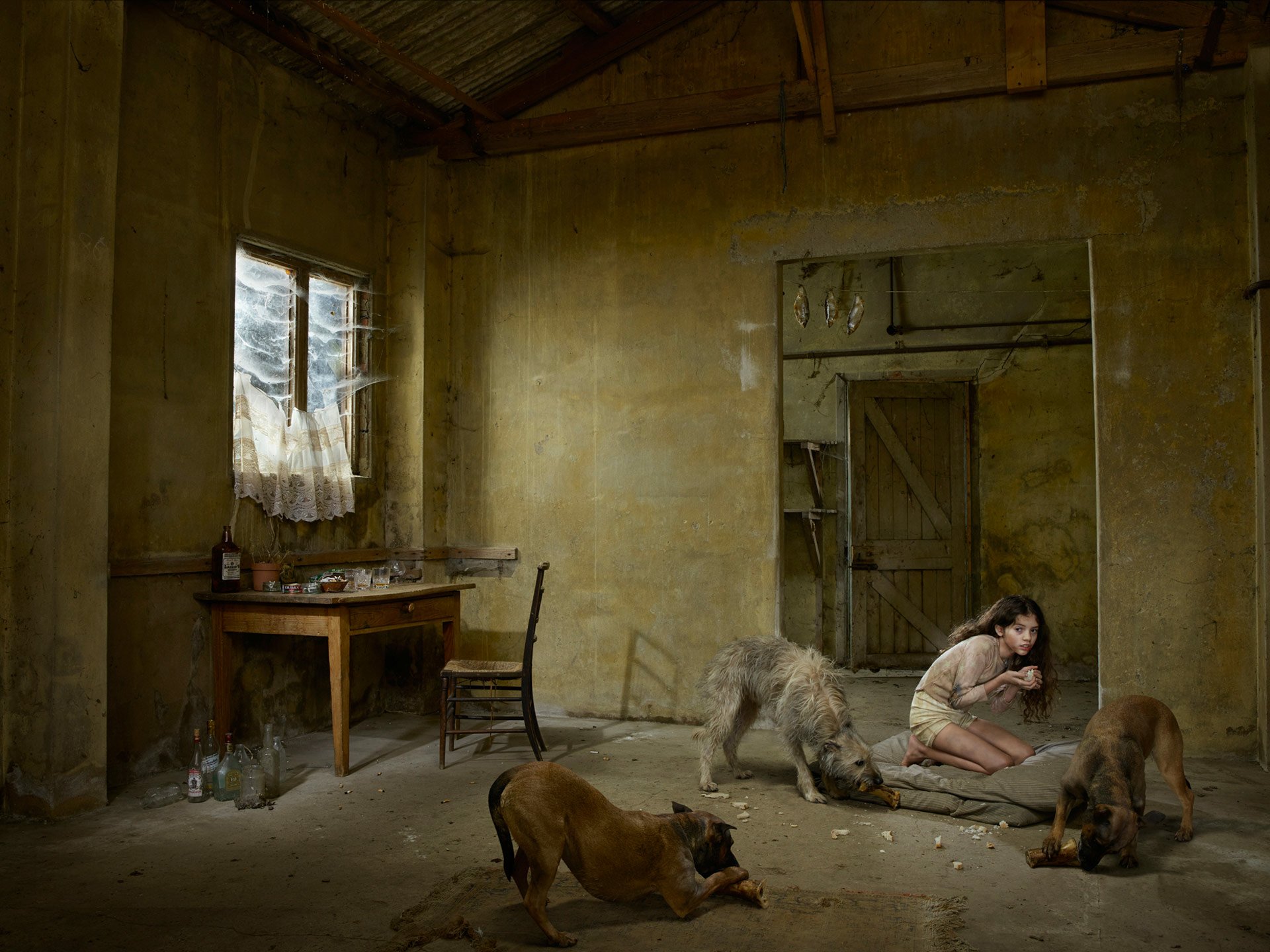 HD PC desktop wallpaper showing a fantasy, fairy tale scene with a girl crouched in a dim, rustic room surrounded by large dogs under soft window light.