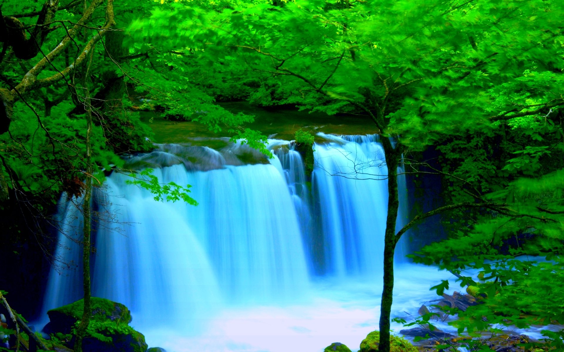 Download Tree Forest Green Nature Waterfall HD Wallpaper