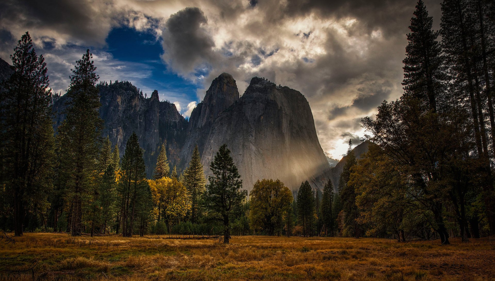 Download Cliff Cloud Mountain Tree Nature Yosemite National Park HD