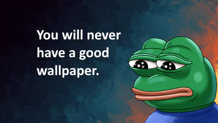 A humorous HD desktop wallpaper featuring a cartoon frog with the text: You will never have a good wallpaper, set against a colorful, textured background.