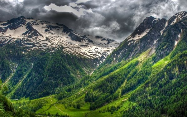 Earth Mountain Mountains Landscape Switzerland Tree Forest Cloud HD Wallpaper | Background Image