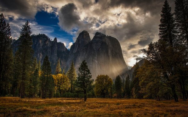 Nature Yosemite National Park National Park Tree Mountain Cloud Cliff HD Wallpaper | Background Image
