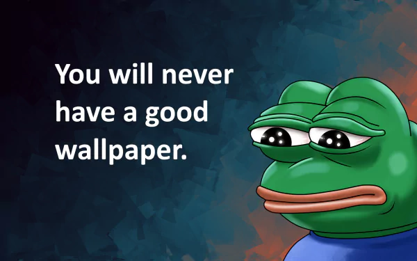 A humorous HD desktop wallpaper featuring a cartoon frog with the text: You will never have a good wallpaper, set against a colorful, textured background.