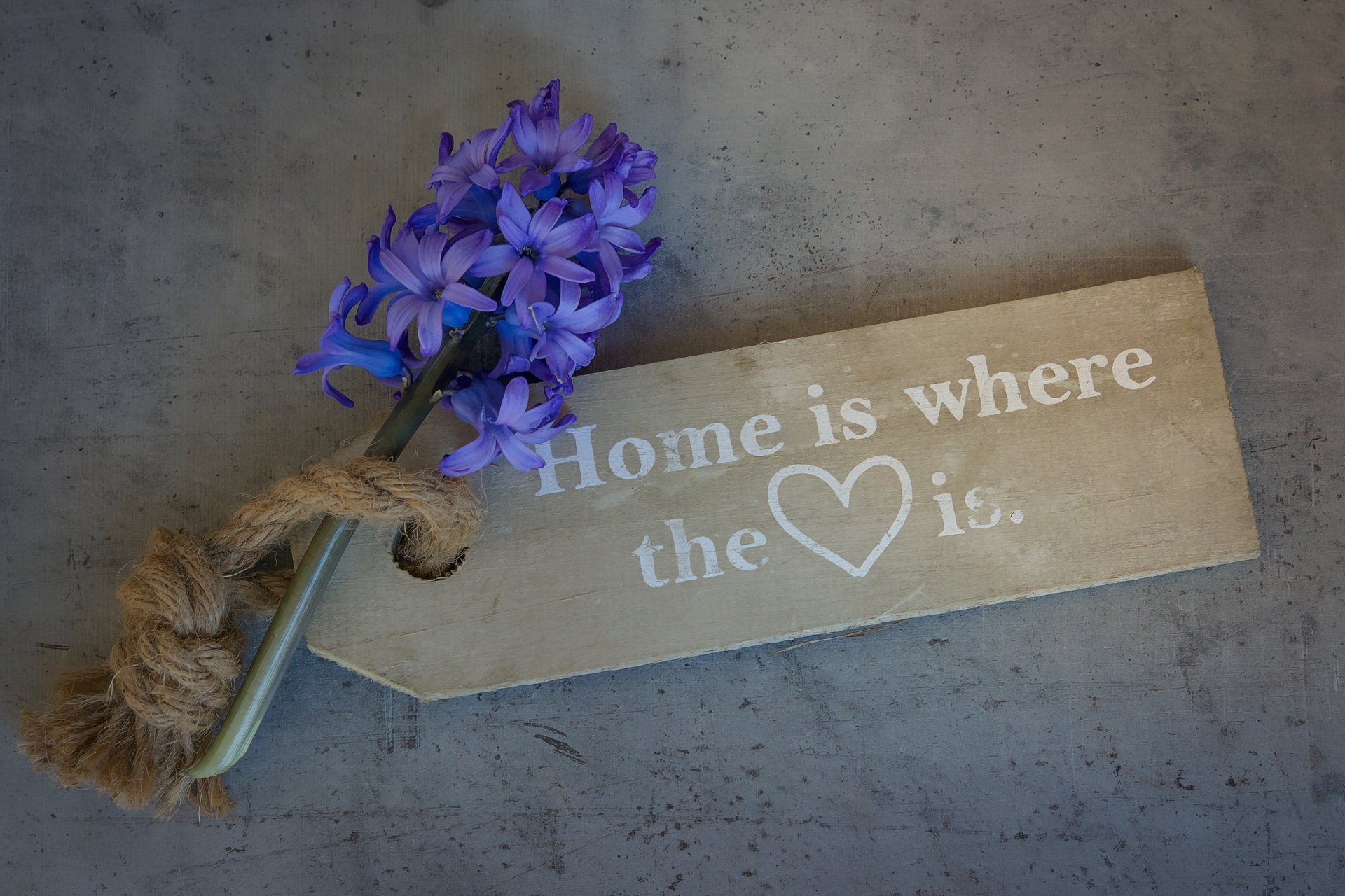 HD desktop wallpaper featuring a purple hyacinth with a rustic tag that reads Home is where the ♥ is, blending themes of love and heart in a floral statement.