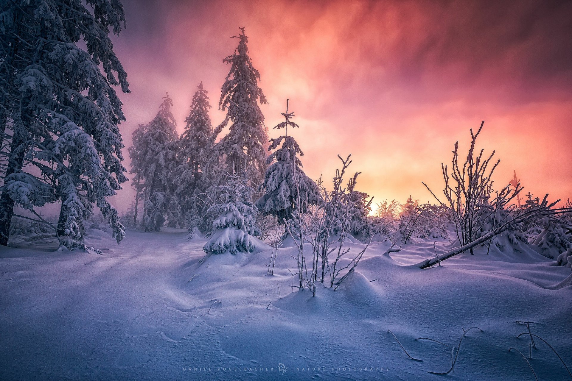 Winter forest blanketed in snow beneath a dramatic purple-pink sunset sky, frosted trees and soft drifts — HD PC desktop wallpaper/background.