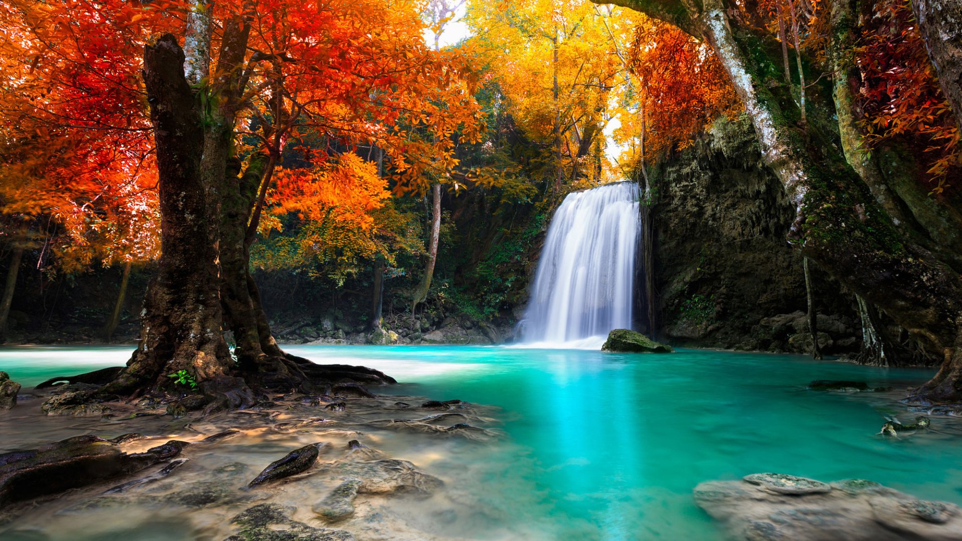 Autumn Forest Waterfall