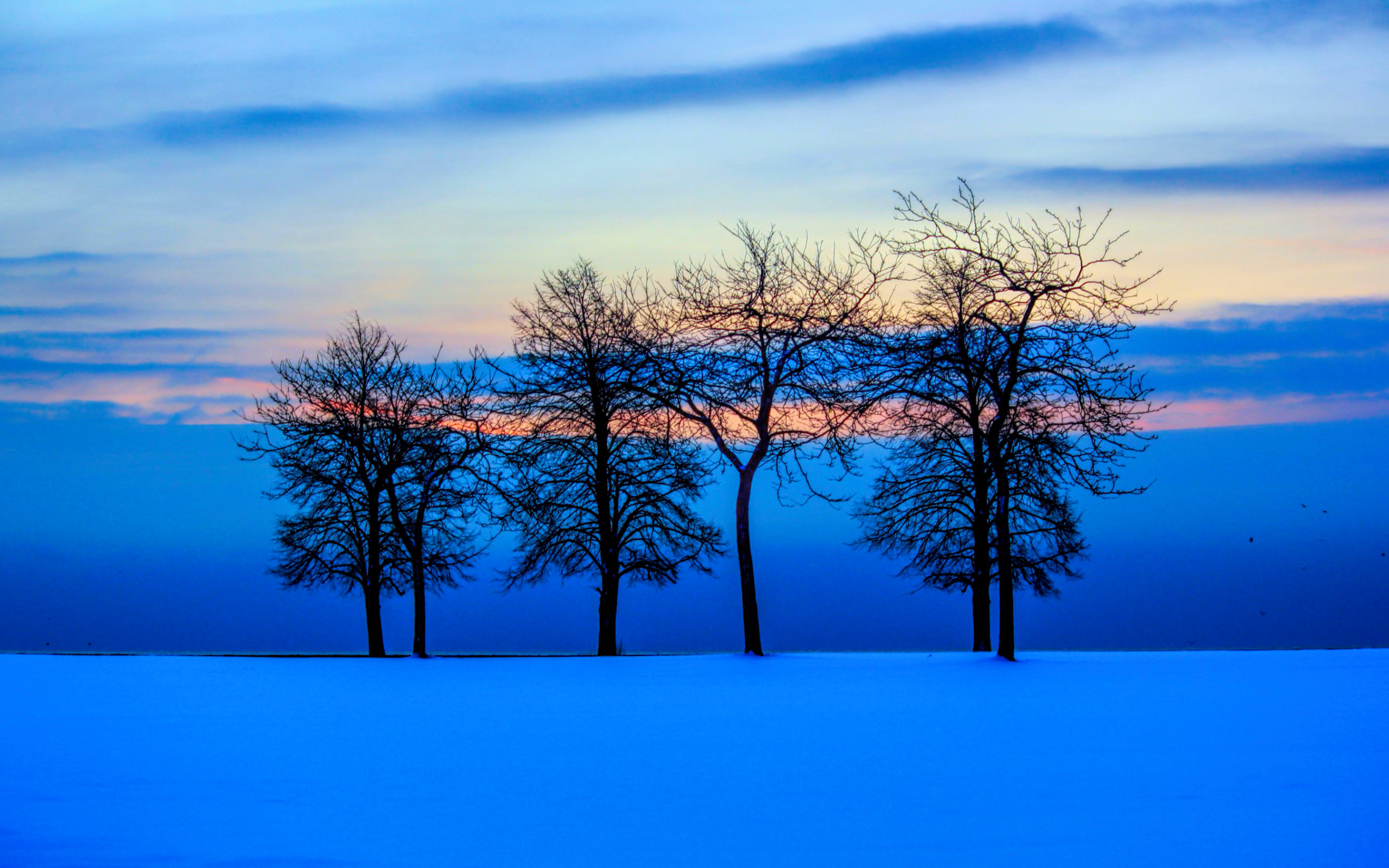 Winter Sunset Silhouette