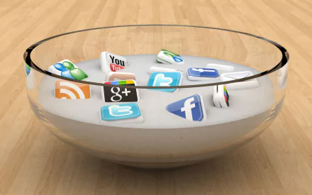  Social Networks