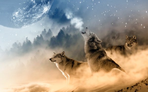 Animal Wolf Wolves Moon Fantasy HD Wallpaper | Background Image
