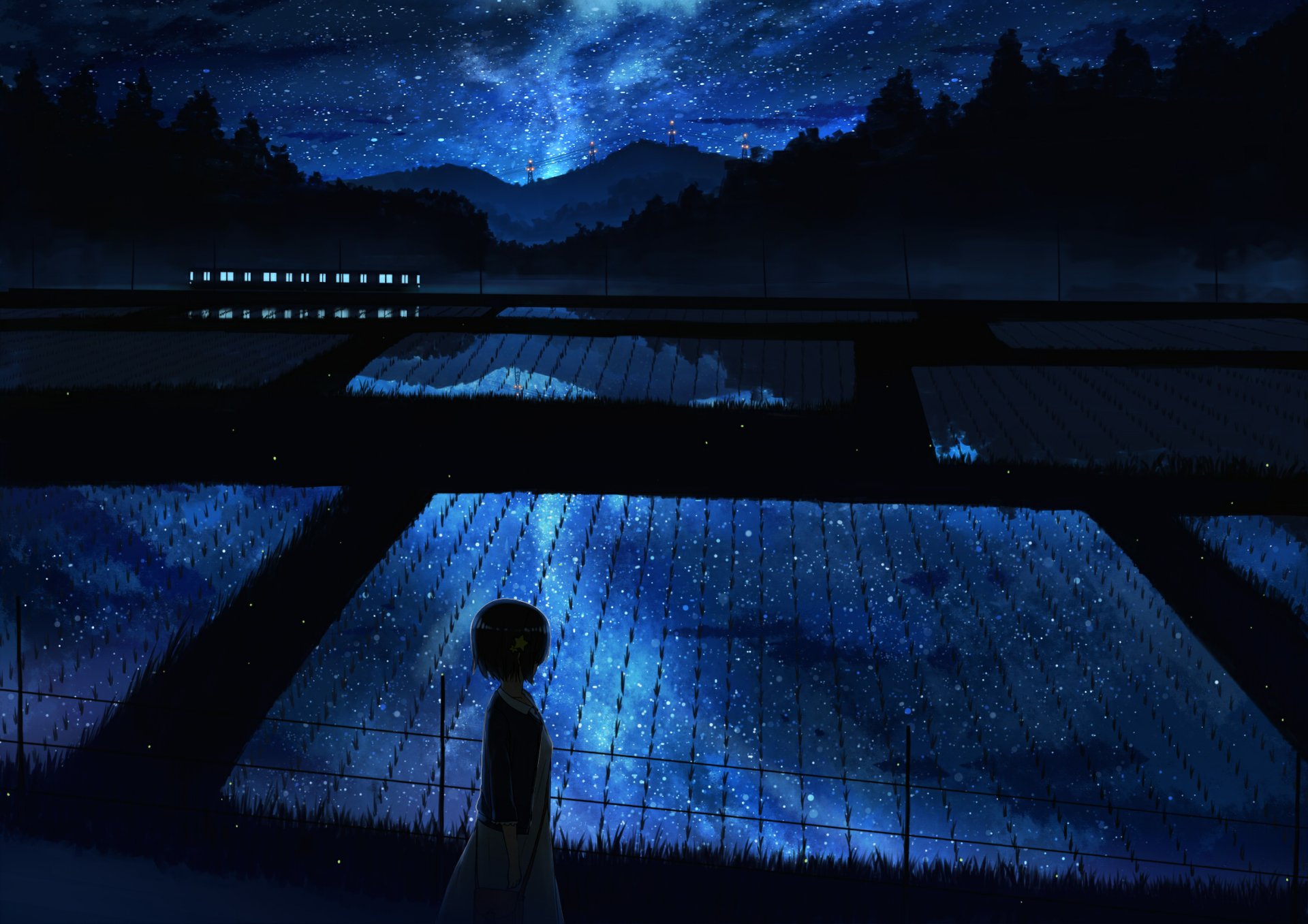A serene anime scene set in a field under a starry night sky, featuring a figure standing by reflective water, with mountains in the background. HD desktop wallpaper.