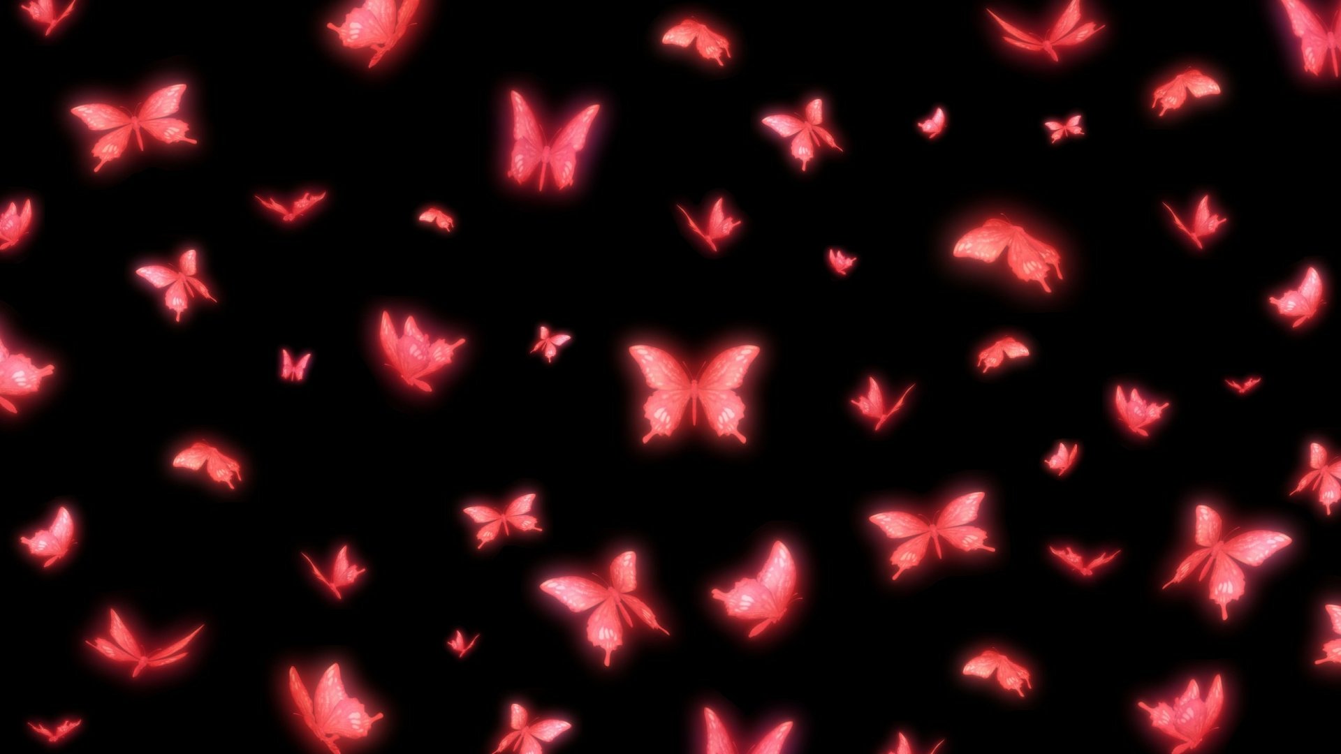 Pink Butterflies